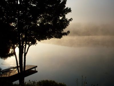 Brouillard sur le lac